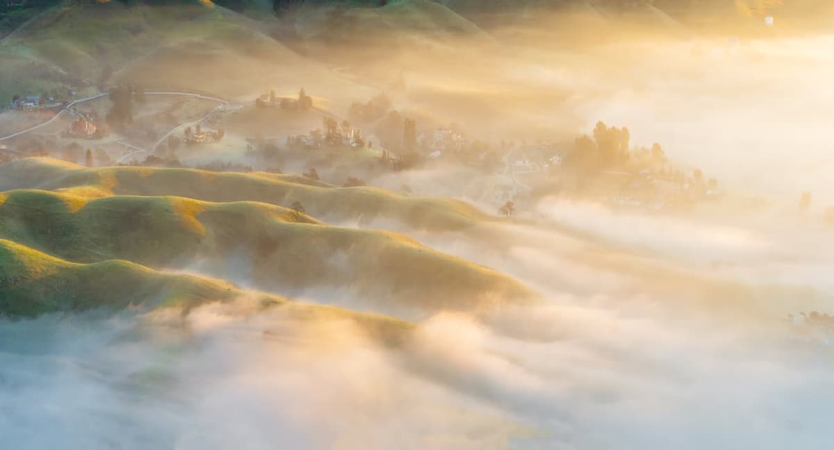 Why I'm Running for Zone 7